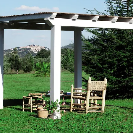 Ceralti Daire Donoratico